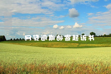 网贷逾期邮寄起诉书 网贷逾期邮寄起诉书