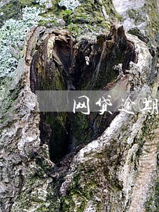 网贷逾期邮政信件收不收 网贷逾期邮政信件收不收