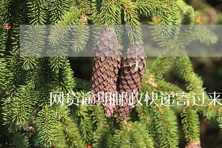 网贷逾期邮政快递寄过来的信 网贷逾期邮政快递寄过来的信