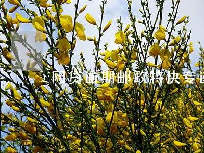 网贷逾期邮政特快专递查询 网贷逾期邮政特快专递查询