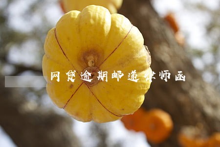 网贷逾期邮递律师函 网贷逾期邮递律师函