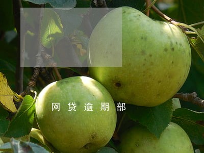 网贷逾期部 网贷逾期部