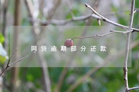 网贷逾期部分还款 网贷逾期部分还款