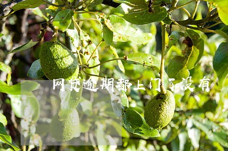网贷逾期都上门了没有 网贷逾期都上门了没有