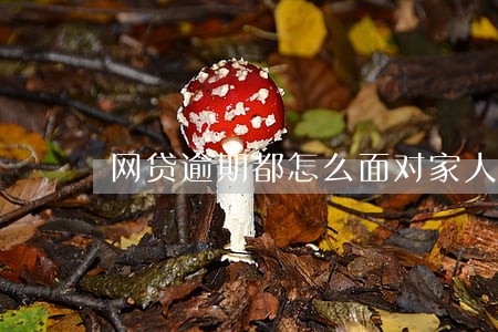 网贷逾期都怎么面对家人 网贷逾期都怎么面对家人