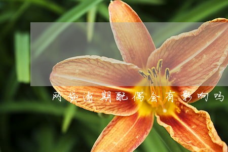 网贷逾期配偶会有影响吗 网贷逾期配偶会有影响吗
