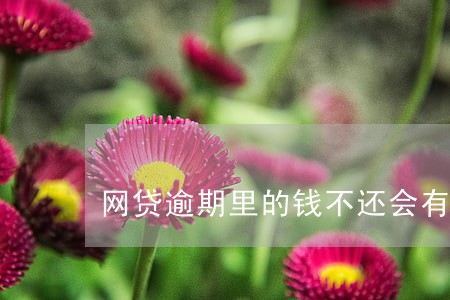 网贷逾期里的钱不还会有什么后果 网贷逾期里的钱不还会有什么后果