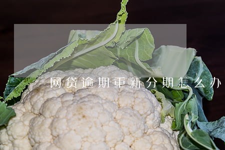 网贷逾期重新分期怎么办