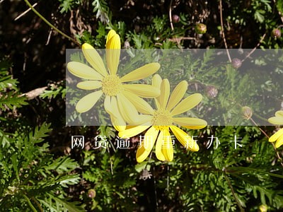 网贷逾期重新办卡 网贷逾期重新办卡