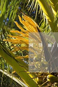 网贷逾期重组 网贷逾期重组