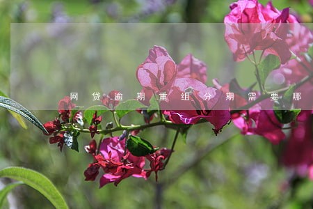 网贷逾期重组分期需要哪些手续 网贷逾期重组分期需要哪些手续