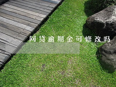 网贷逾期金可修改吗 网贷逾期金可修改吗