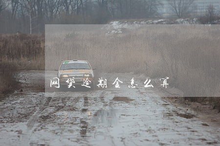 网贷逾期金怎么算 网贷逾期金怎么算
