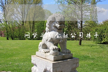 网贷逾期金融公司接手 网贷逾期金融公司接手