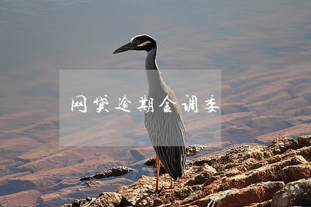 网贷逾期金调委 网贷逾期金调委