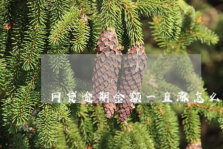 网贷逾期金额一直涨怎么办 网贷逾期金额一直涨怎么办