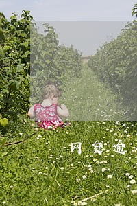 网贷逾期金额可以商量吗 网贷逾期金额可以商量吗