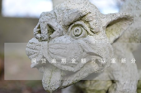 网贷逾期金额可以重新分期还款吗 网贷逾期金额可以重新分期还款吗