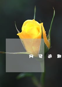 网贷逾期金额多大算大多少算小 网贷逾期金额多大算大多少算小