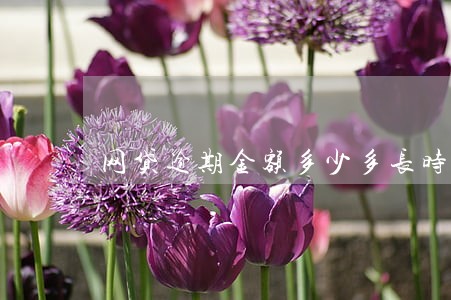 网贷逾期金额多少多长时间会起诉 网贷逾期金额多少多长时间会起诉