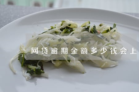 网贷逾期金额多少钱会上征信 网贷逾期金额多少钱会上征信