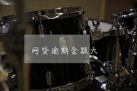 网贷逾期金额大