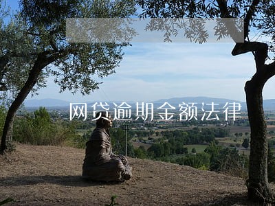 网贷逾期金额法律 网贷逾期金额法律