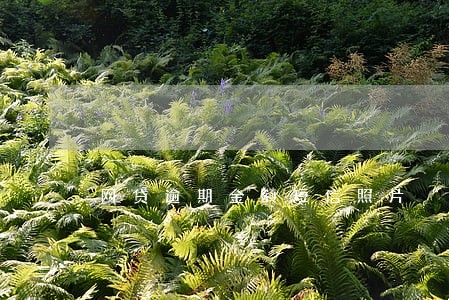 网贷逾期金额短信照片 网贷逾期金额短信照片