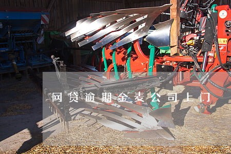 网贷逾期金麦公司上门 网贷逾期金麦公司上门