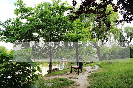 网贷逾期钱已还上怎么消除 网贷逾期钱已还上怎么消除