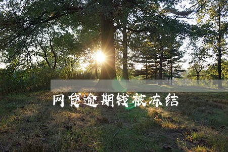 网贷逾期钱被冻结