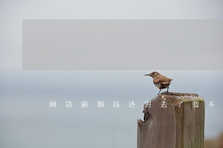 网贷逾期钱还进去了要不要紧 网贷逾期钱还进去了要不要紧