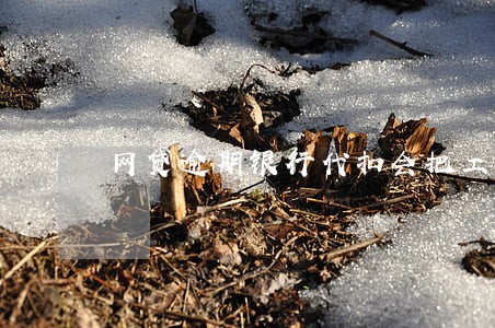网贷逾期银行代扣会把工资扣完吗 网贷逾期银行代扣会把工资扣完吗