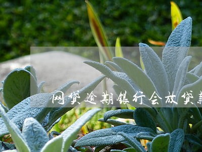 网贷逾期银行会放贷款吗 网贷逾期银行会放贷款吗