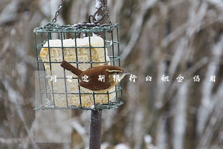 网贷逾期银行公积金信用贷 网贷逾期银行公积金信用贷