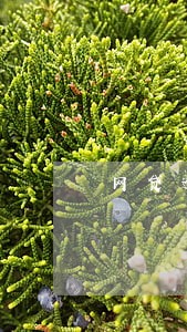 网贷逾期银行卡会异常吗 网贷逾期银行卡会异常吗