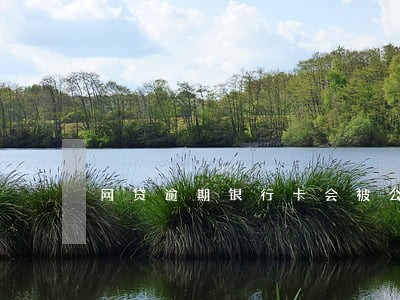 网贷逾期银行卡会被公安冻结吗 网贷逾期银行卡会被公安冻结吗