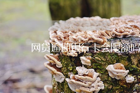 网贷逾期银行卡会限额吗 网贷逾期银行卡会限额吗