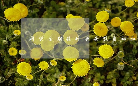 网贷逾期银行卡余额自动扣 网贷逾期银行卡余额自动扣