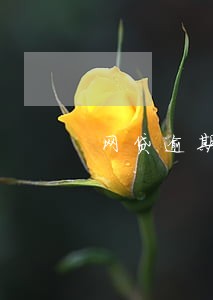 网贷逾期银行卡余额被冻结 网贷逾期银行卡余额被冻结