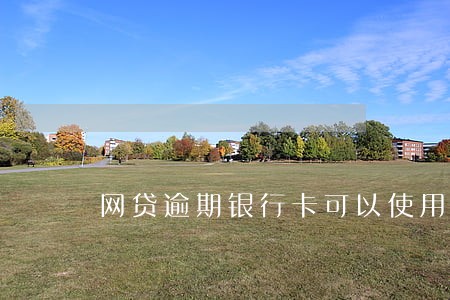 网贷逾期银行卡可以使用吗 网贷逾期银行卡可以使用吗