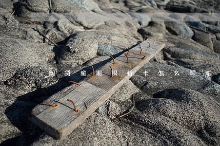 网贷逾期银行卡怎么解冻