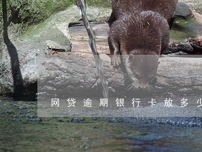 网贷逾期银行卡放多少钱不会被扣 网贷逾期银行卡放多少钱不会被扣