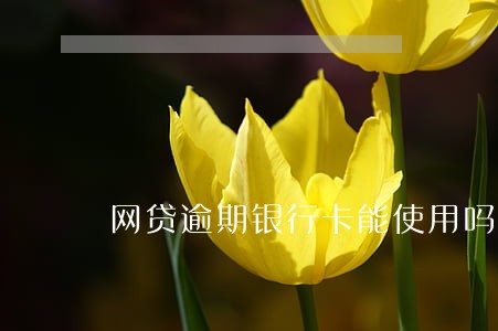 网贷逾期银行卡能使用吗 网贷逾期银行卡能使用吗