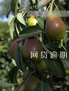 网贷逾期银行卡被冻结了部分金额 网贷逾期银行卡被冻结了部分金额