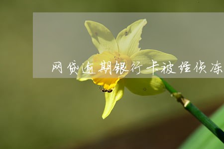 网贷逾期银行卡被经侦冻结
