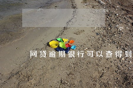 网贷逾期银行可以查得到吗 网贷逾期银行可以查得到吗
