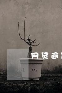 网贷逾期银行怎么办 网贷逾期银行怎么办