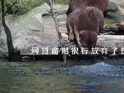网贷逾期银行放弃了是什么意思 网贷逾期银行放弃了是什么意思