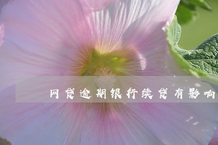 网贷逾期银行续贷有影响吗 网贷逾期银行续贷有影响吗